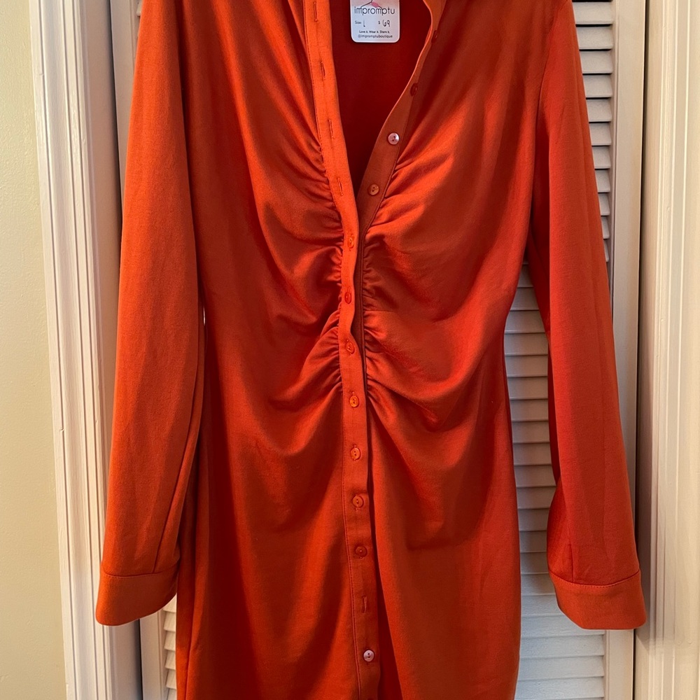 Never worn - long sleeve dress